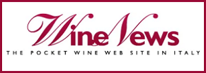 Wine News - Logo